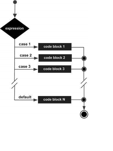  “The image that shows flow diagram of switch statement”