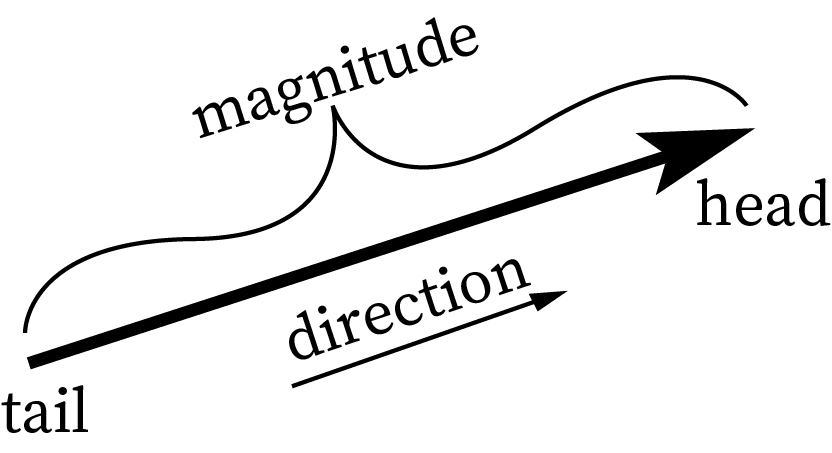 "Vectors representation”