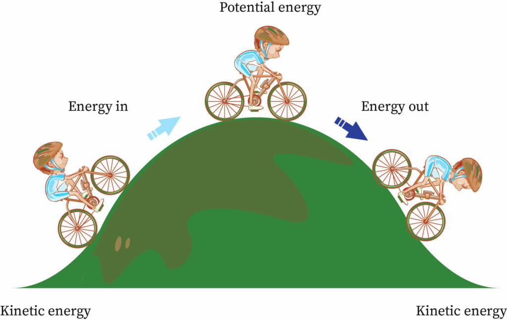 Work Power Energy Bartleby