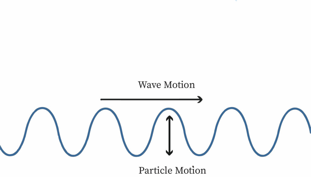 " Transverse Wave"