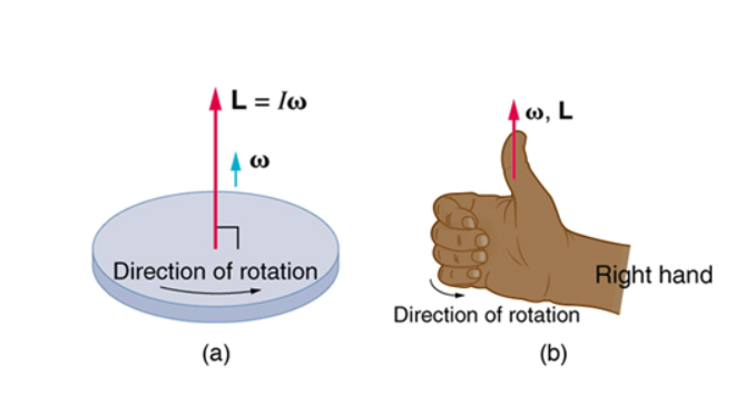 "The image that shows right hand rule "