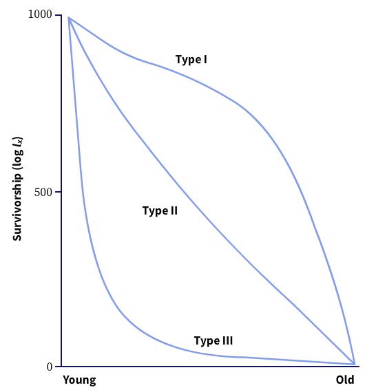 "Types of survivorship curves"