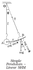 “The image that shows Simple Pendulum Linear Simple Harmonic motion”