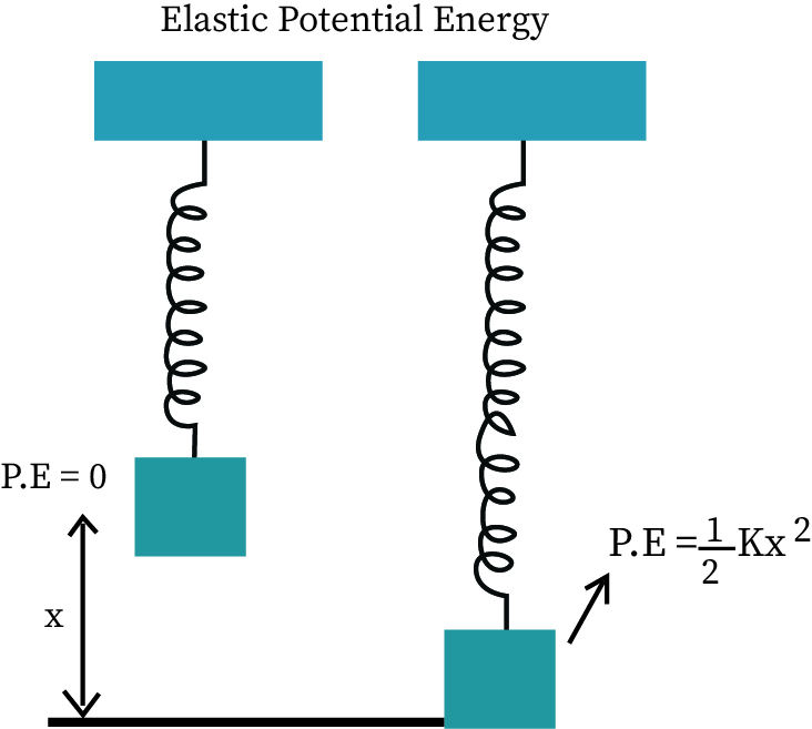 "elastic potential energy"