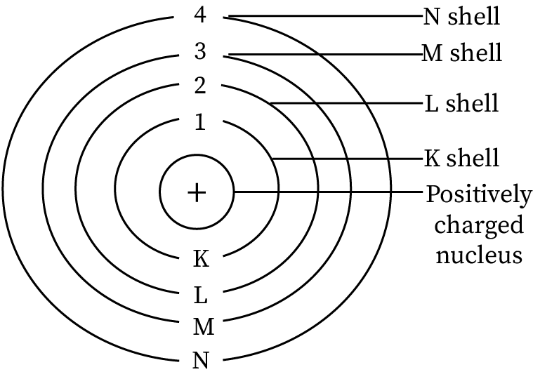 An illustration shows the Bohr's Model of Atom. It has four circular orbits labeled K, L, M and N in that order starting with the inner most one to the outer most one. At the center is the positively charged nucleus. 