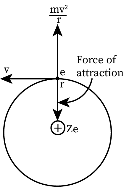 An illustration shows forces on an electron in an orbit. The force of attraction is pointed towards the center and the centripetal force is pointed outwards.