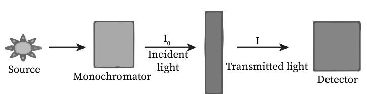 An illustration shows the representation of Beer Lambert’s law, where a source is placed at the left side that imparts light of distinct intensities which passes through the monochromator. It passes light of a single color whose incident ray falls on the cuvette containing the sample and further, the transmitted light is captured by the detector.