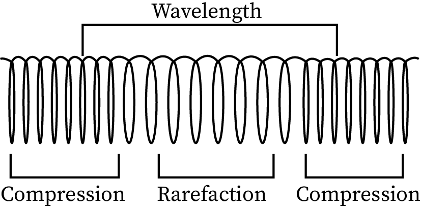 An illustration of a longitudinal wave with compression and rarefaction areas.