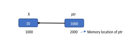 Pointer ptr pointing to variable X