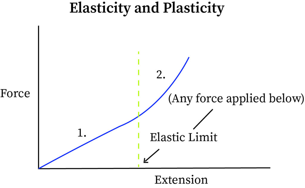 ” Elasticity vs Plasticity"