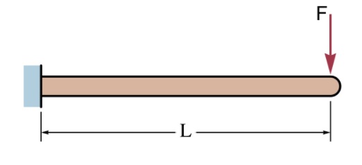 A cantilever beam acted by a shear load F