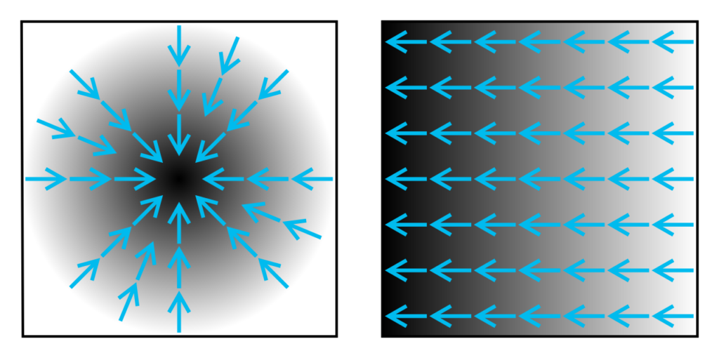 The gradient represented by the blue arrows denotes the direction of greatest change of a scalar function.