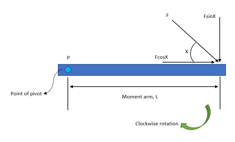 A bar pivoted at point P, and acted upon by an external force F, the line of action of which is at an angle X