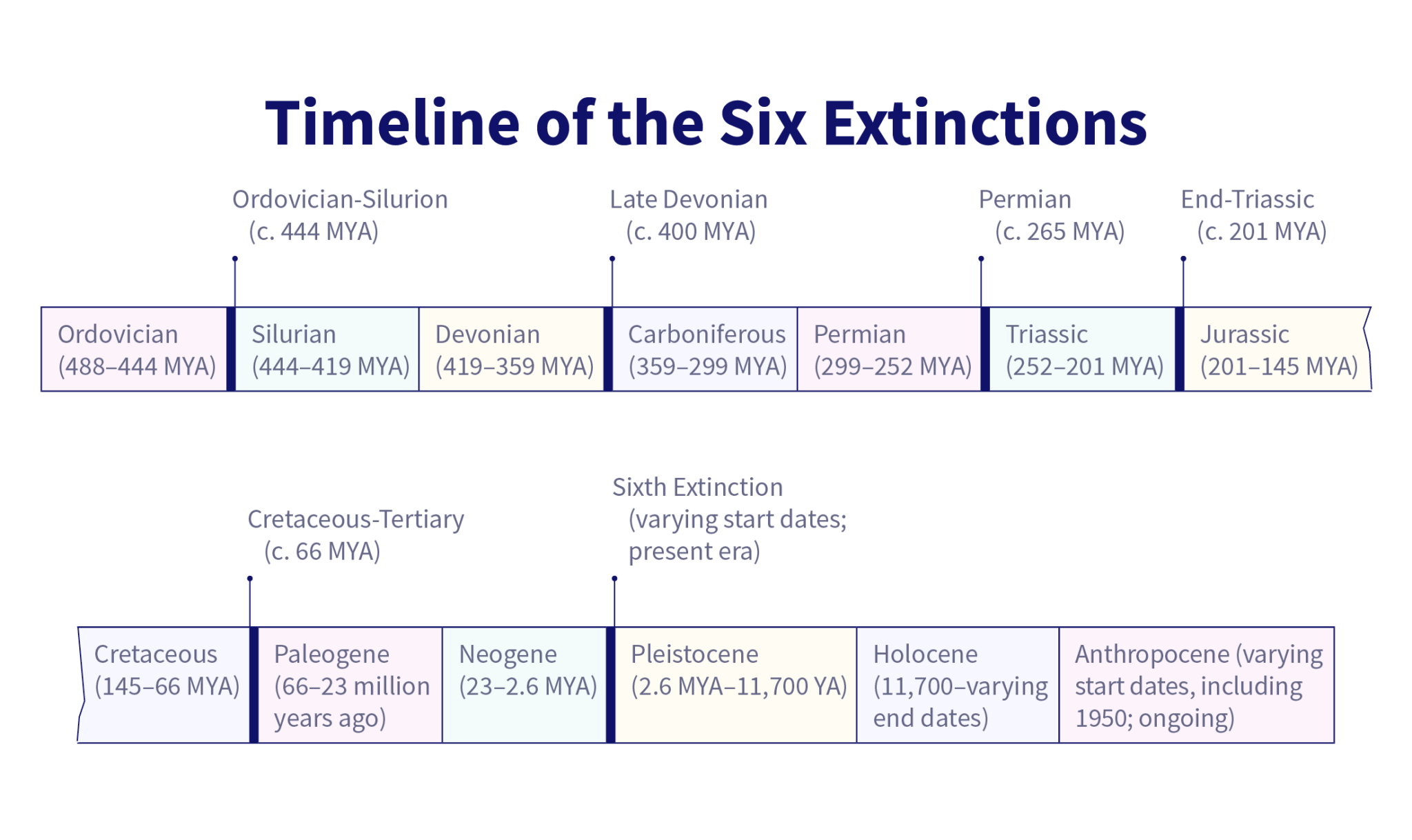 Background from The Sixth Extinction An Unnatural History bartleby